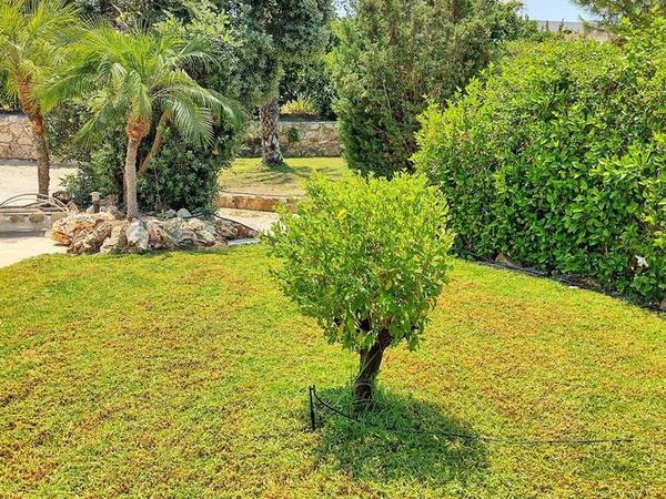 4 bedroom detached house for sale argaka paphos 833318 image 686839