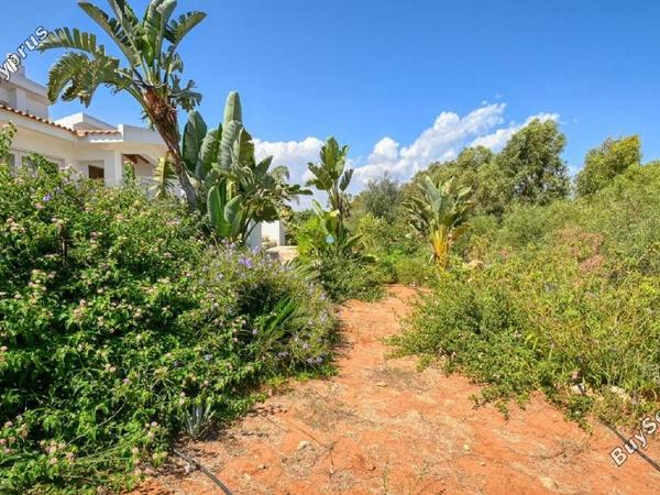 6 bedroom detached house for sale protaras famagusta 1236418 image 5597340