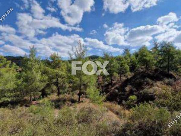 land for sale kato platres limassol 1160418 image 5544117
