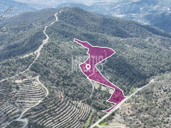 land for sale louvaras limassol 1370418 image 10497903