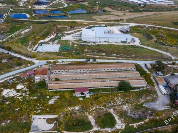 studio warehouse for sale aradippou larnaca 8180418 image 16187891
