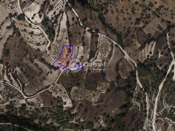 land for sale gerasa limassol 1802518 image 13097040