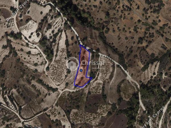 land for sale gerasa limassol 1802518 image 13097042