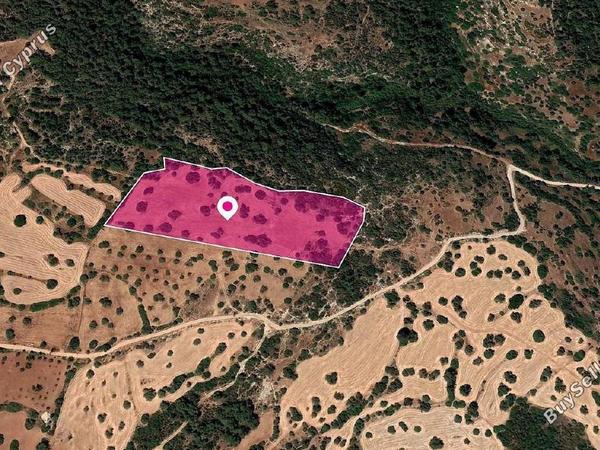 land for sale neo chorio paphos 1897518 image 14206042