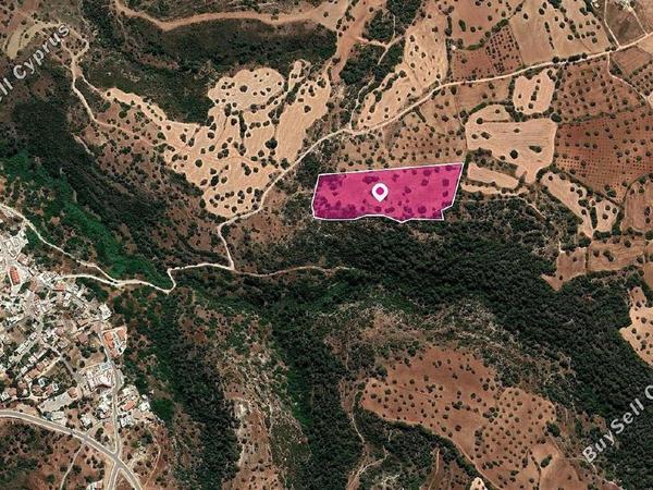 land for sale neo chorio paphos 1897518 image 14206043