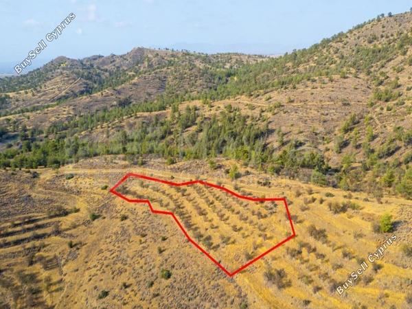 plot for sale agia marina xyliatou nicosia 7873518 image 15357347