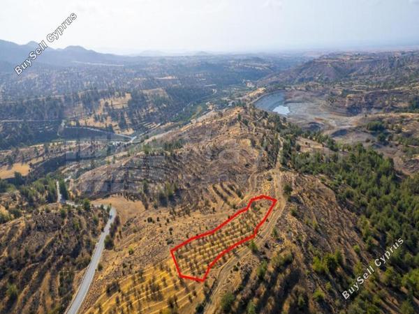 plot for sale agia marina xyliatou nicosia 7873518 image 15357348