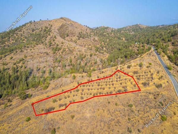plot for sale agia marina xyliatou nicosia 7873518 image 15357352
