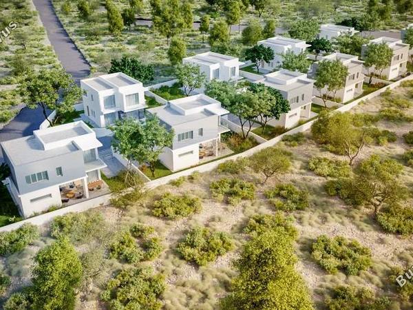 3 bedroom detached house for sale episkopi pafou paphos 1355618 image 5639160