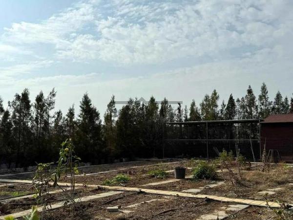 7 bedroom detached house for sale agioi trimithias nicosia 8742618 image 16405787