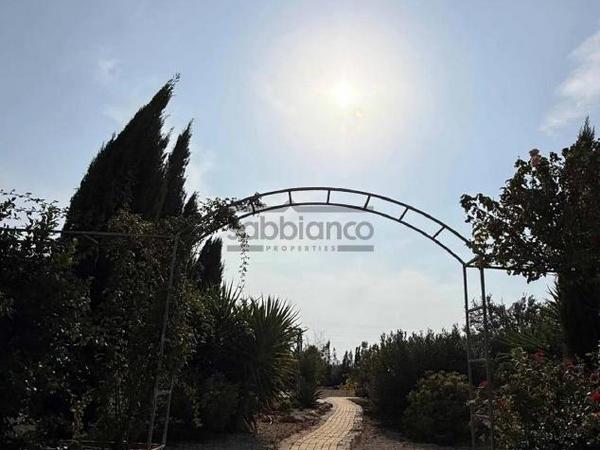 7 bedroom detached house for sale agioi trimithias nicosia 8742618 image 16405792