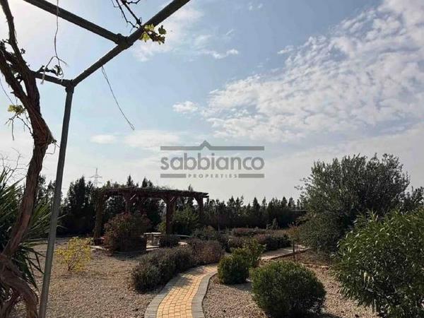7 bedroom detached house for sale agioi trimithias nicosia 8742618 image 16405794