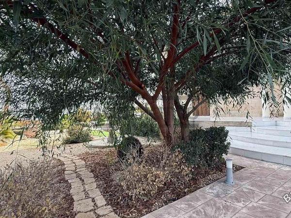 7 bedroom detached house for sale agioi trimithias nicosia 8742618 image 16405800