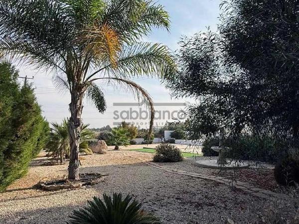 7 bedroom detached house for sale agioi trimithias nicosia 8742618 image 16405811