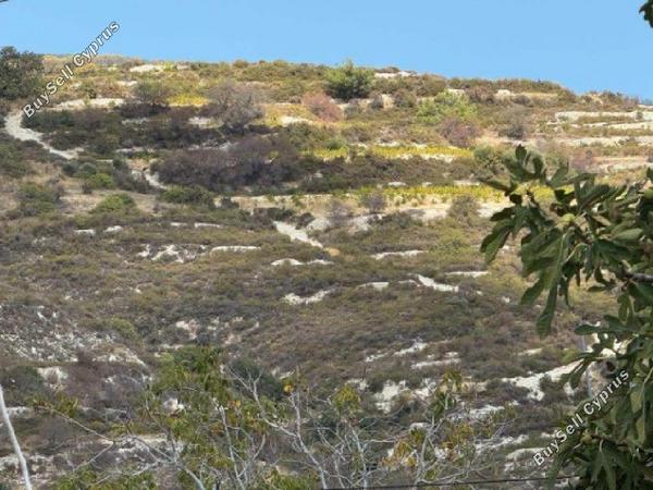 land for sale koilani limassol 826618 image 17103074