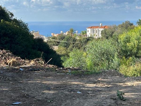 land for sale peyia paphos 8395618 image 16071297