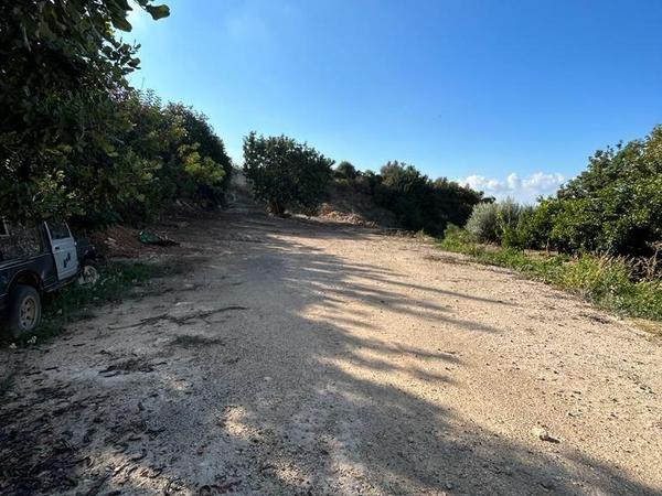 land for sale peyia paphos 8395618 image 16071298