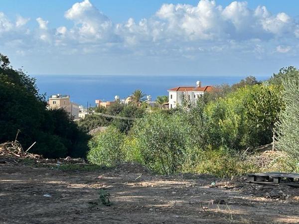 land for sale peyia paphos 8395618 image 16071300