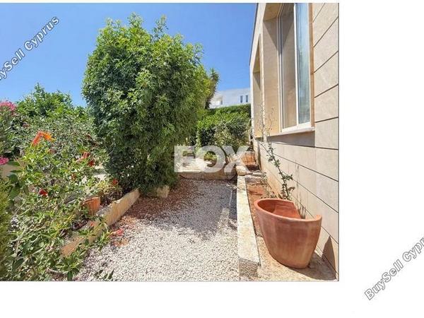 3 bedroom detached house for sale tala paphos 8710718 image 16269106