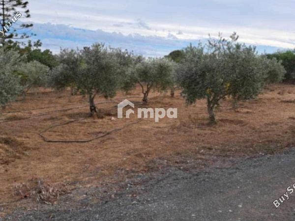 3 bedroom detached house for sale agioi trimithias nicosia 1730818 image 5565996