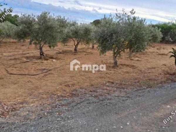 3 bedroom detached house for sale agioi trimithias nicosia 1730818 image 5565999