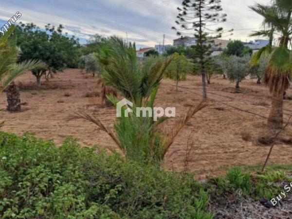 3 bedroom detached house for sale agioi trimithias nicosia 1730818 image 5566002