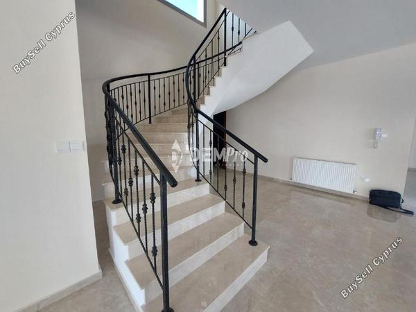5 bedroom detached house for rent peyia paphos 7812818 image 16238947