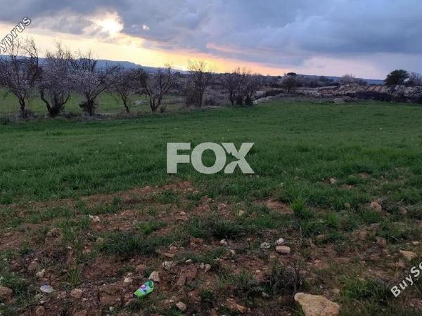 land for sale asgata limassol 1699818 image 5674893