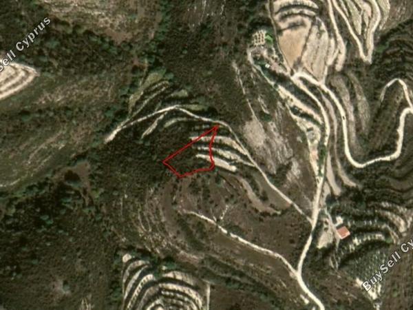 land for sale koili paphos 8630818 image 17113812