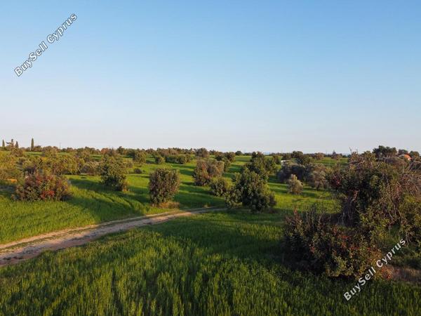 land for sale mazotos larnaca 1032818 image 15603614