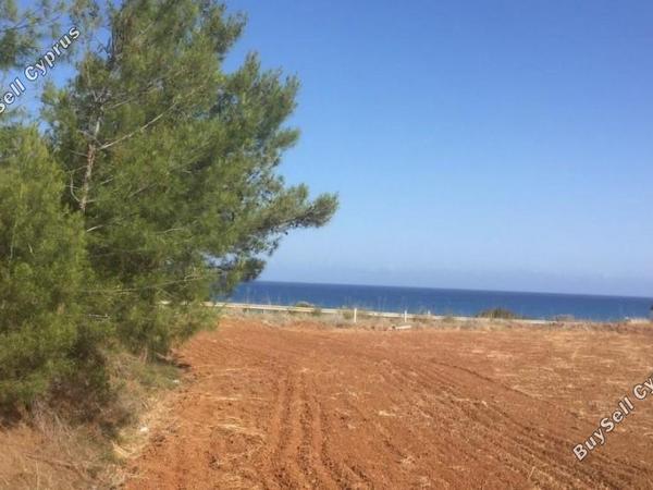 land for sale nea dimmata paphos 1355818 image 13009014
