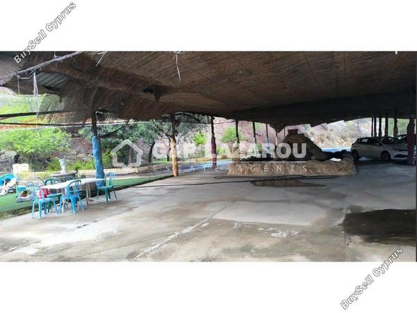 studio restaurant for sale agios epifanios oreinis nicosia 8003818 image 15902498