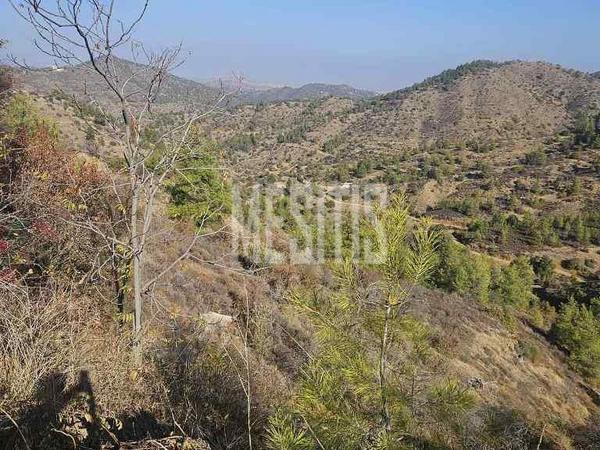 land for sale farmakas nicosia 7847918 image 11045942