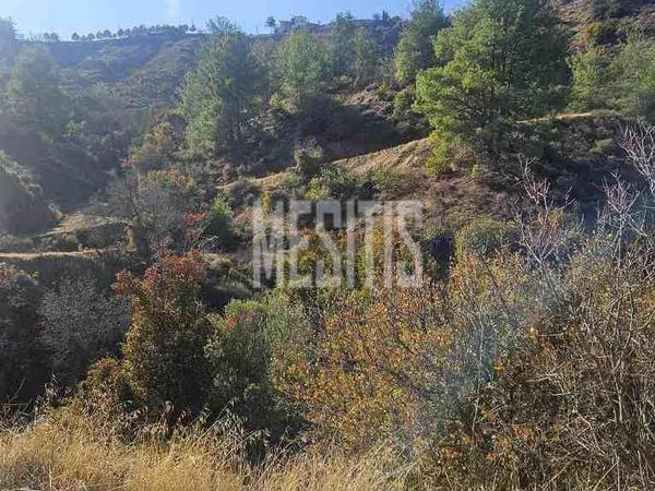 land for sale farmakas nicosia 7847918 image 11045943