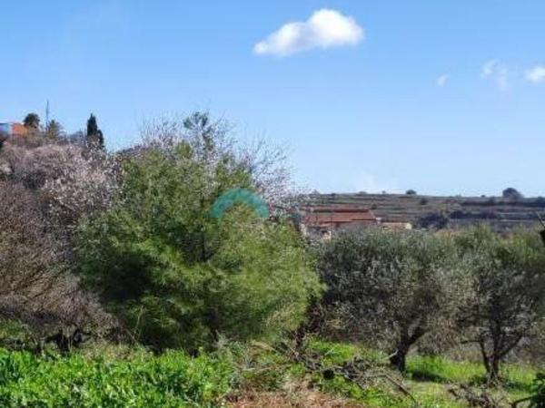 land for sale pachna limassol 921918 image 5393958