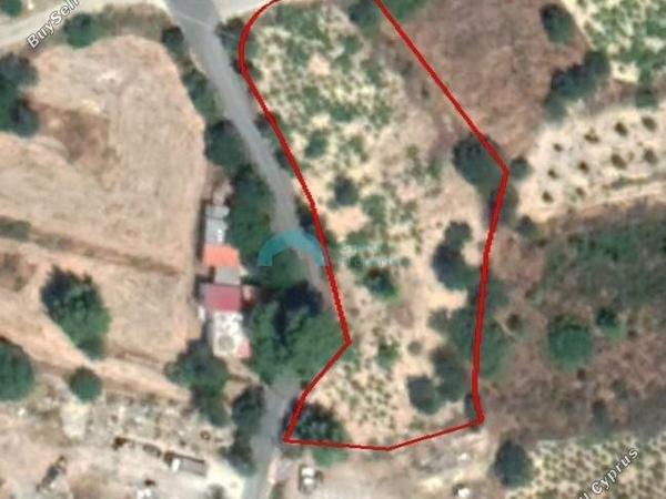 land for sale pachna limassol 921918 image 5393960