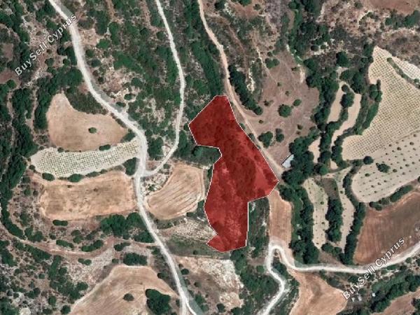 land for sale psathi paphos 980918 image 15598799