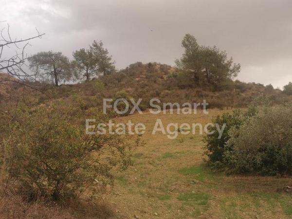 land for sale tochni larnaca 1419918 image 9218193