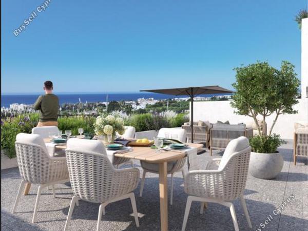 2 bedroom apartment for sale kissonerga paphos 8118028 image 15521177
