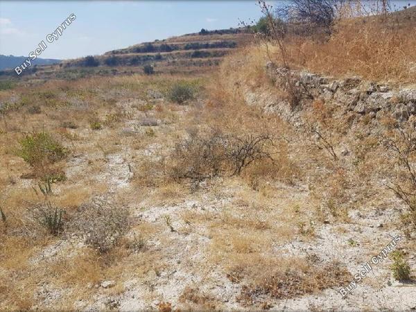 land for sale pachna limassol 8630028 image 16656525