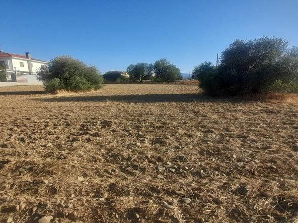 plot for sale psimolofou nicosia 1573028 image 16182136