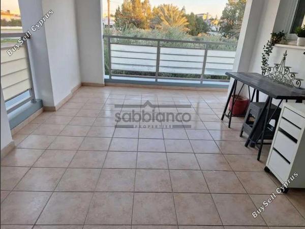1 bedroom apartment for rent strovolos nicosia 8740128 image 16378252