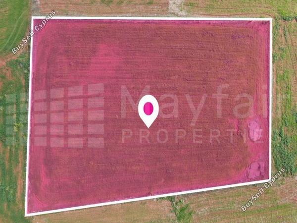 land for sale palaiometocho nicosia 7872128 image 15136718