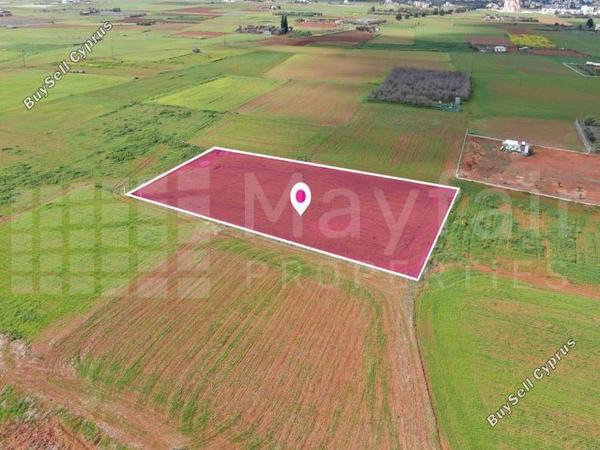 land for sale palaiometocho nicosia 7872128 image 15136720