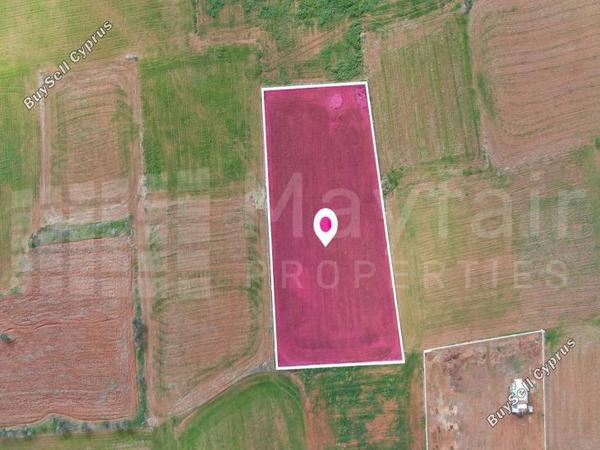 land for sale palaiometocho nicosia 7872128 image 15136722