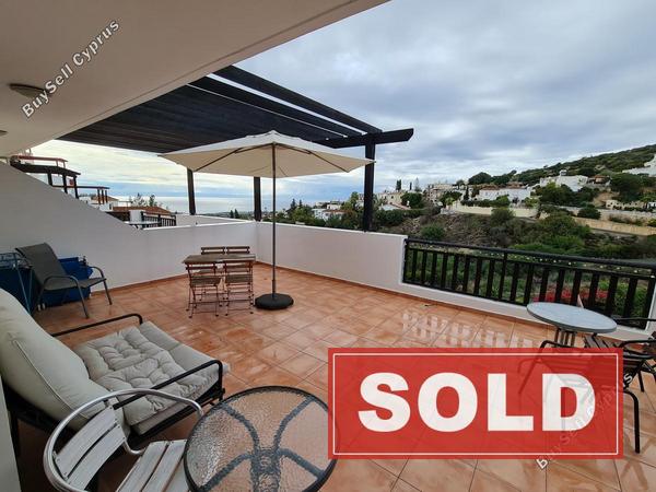 1 bedroom apartment sold peyia paphos 7959228 image 11416379