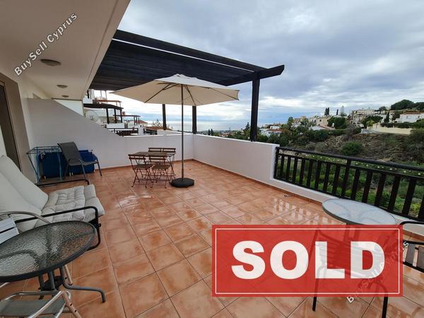1 bedroom apartment sold peyia paphos 7959228 image 11416387