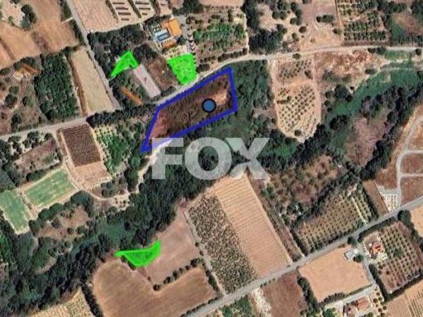land for sale kissonerga paphos 1510428 image 15509885