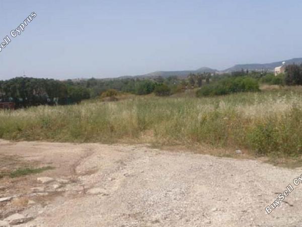 land for sale poli chrysochous paphos 828428 image 15178205