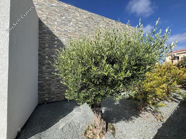 4 bedroom bungalow for sale emba paphos 8360528 image 15854625